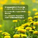 Schweden Kräuter  Elixier 13 Kräuter 1500x1500px.webp