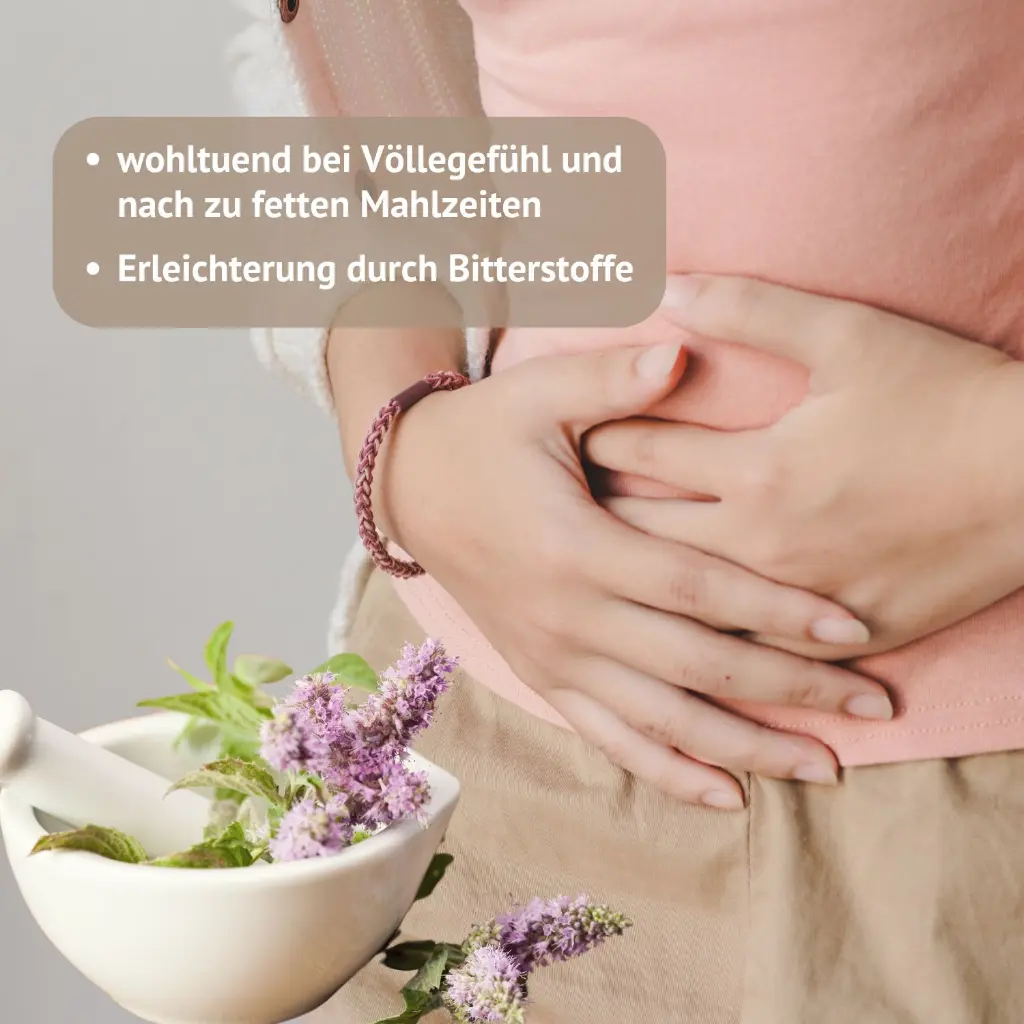 Schweden Krätuer Elixier Völlegefühl 1 1500x1500px.webp