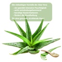 RIVIERA Aloe Vera Creme  75 ml