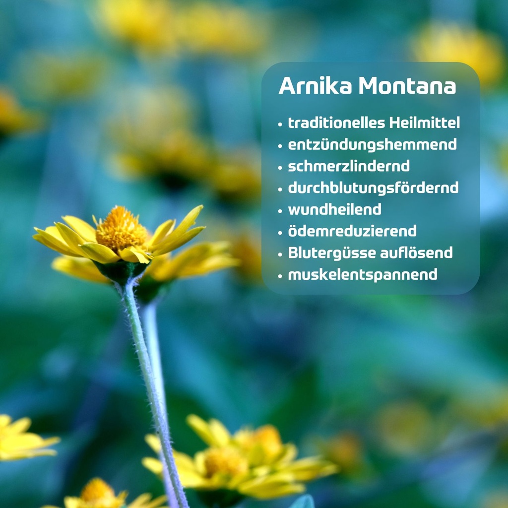 RIVIERA Arnika Hand-Intensiv Creme  75 ml