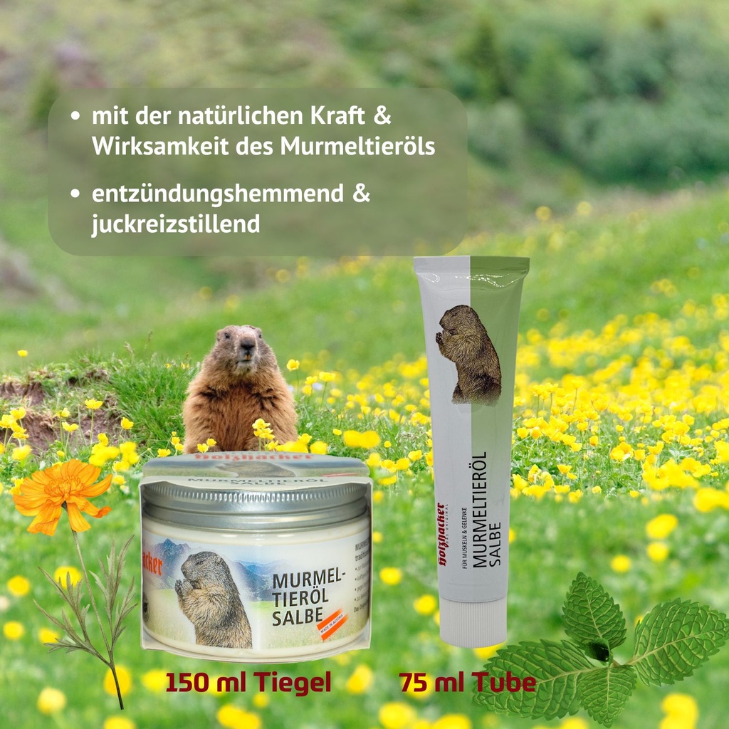 Holzhacker Murmeltieröl Salbe 75 ml