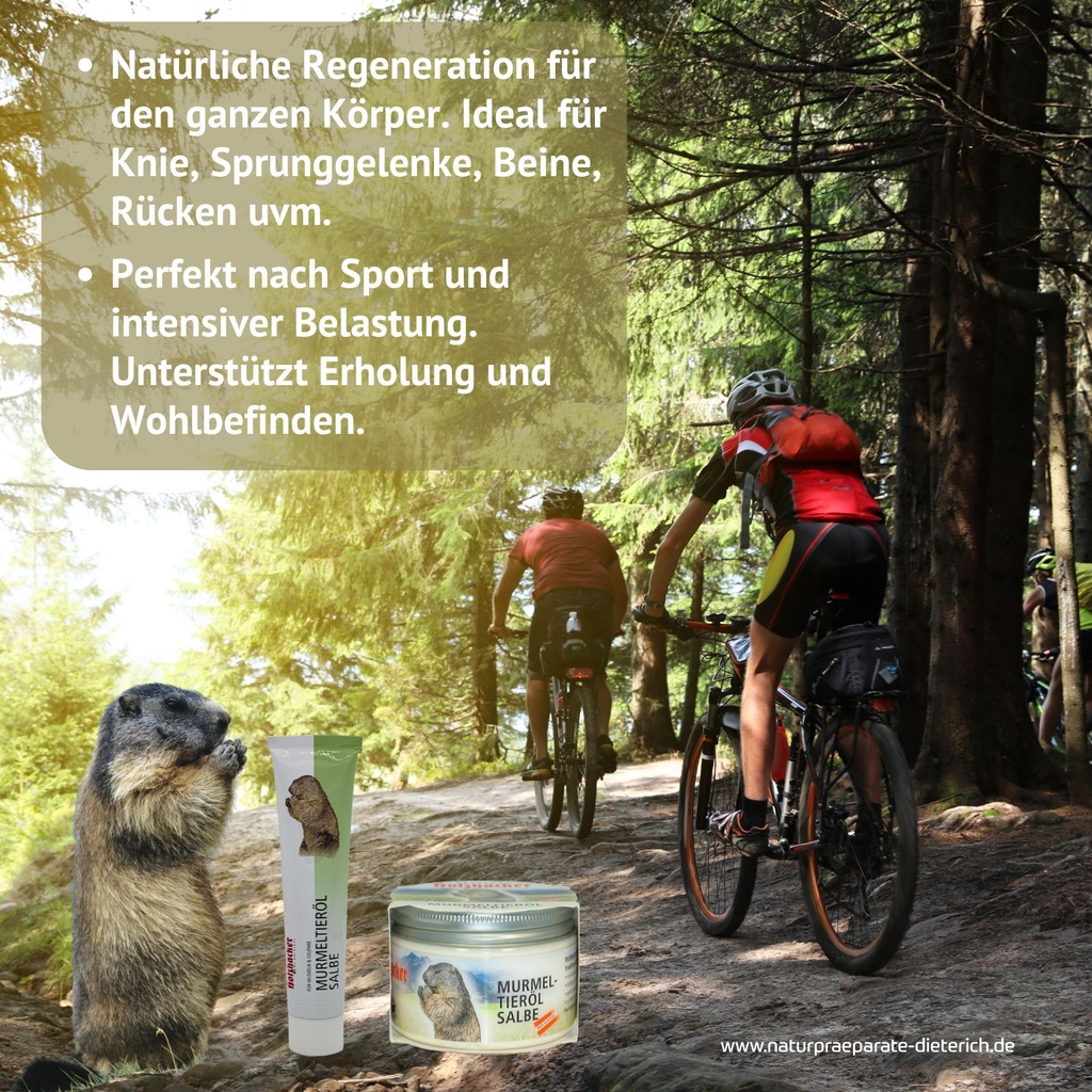 Holzhacker Murmeltieröl Salbe 75 ml