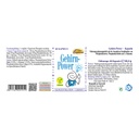 Espara Gehirn-Power 60 Kps.