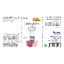 Espara AE_Fräulein-Grün-Frau_BACK.webp