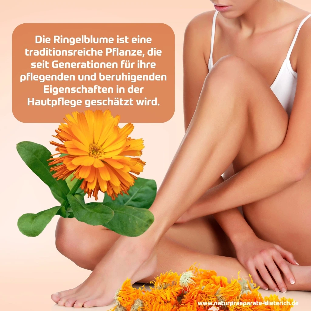 Riviera Massageöl Ringelblume 1500x1500px.webp