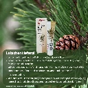 Latschenkiefer Aktiv-Salbe Latschenkieferöl.webp