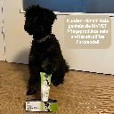 RIVVET Ringelblumen Pflegesalbe  RBVV0075 Hund Nala Markus Paul.webp