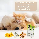 RIVVET Ringelblumen Pflegesalbe Inhaltsstoffe RBVV0075 1500x1500px.webp